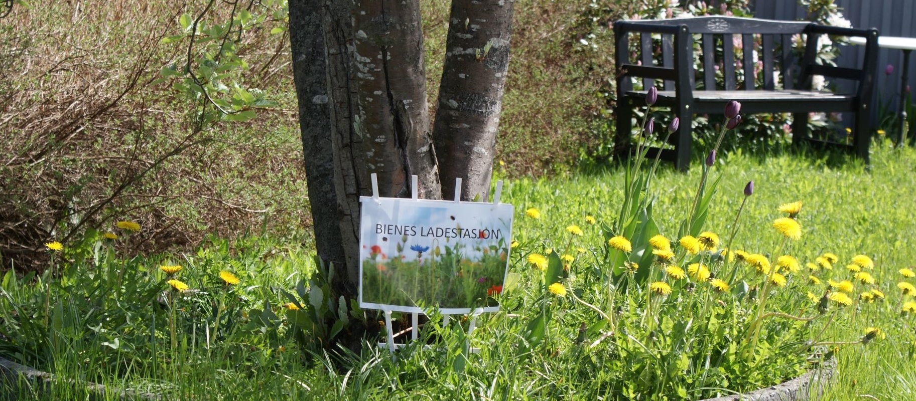 Rostengrenda uteområde